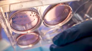 Espacio a Tierra: Dobles dragones: 11 de diciembre de 2020